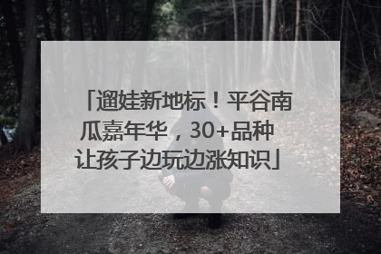 遛娃新地标！平谷南瓜嘉年华，30+品种让孩子边玩边涨知识