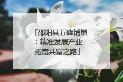 邵阳县五峰铺镇：精准发展产业 拓宽共富之路