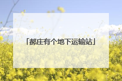 郝庄有个地下运输站