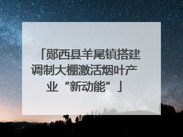 郧西县羊尾镇搭建调制大棚激活烟叶产业“新动能”