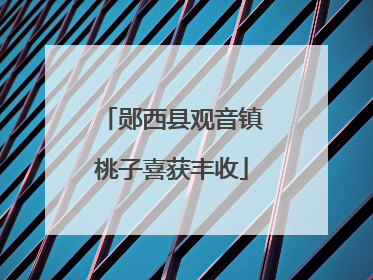 郧西县观音镇桃子喜获丰收