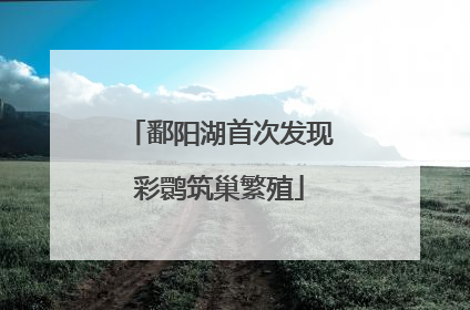 鄱阳湖首次发现彩鹮筑巢繁殖