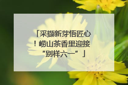 采撷新芽悟匠心！崂山茶香里迎接“别样六一”