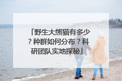 野生大熊猫有多少？种群如何分布？科研团队实地探秘