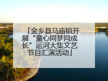 金乡县马庙镇开展“童心同梦同成长”运河大集文艺节目汇演活动