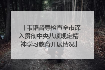 韦韬督导检查全市深入贯彻中央八项规定精神学习教育开展情况