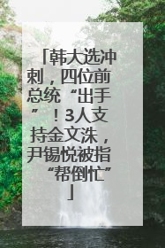 韩大选冲刺，四位前总统“出手”！3人支持金文洙，尹锡悦被指“帮倒忙”