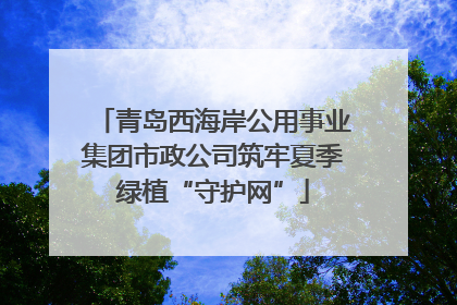 青岛西海岸公用事业集团市政公司筑牢夏季绿植“守护网”