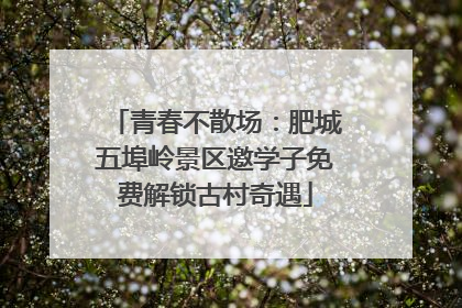 青春不散场：肥城五埠岭景区邀学子免费解锁古村奇遇