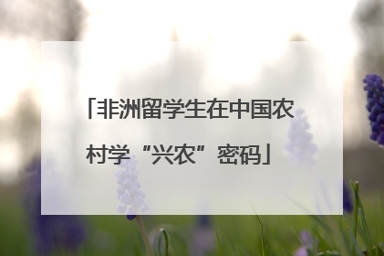 非洲留学生在中国农村学“兴农”密码
