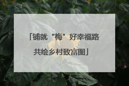 铺就“梅”好幸福路 共绘乡村致富图