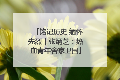 铭记历史 缅怀先烈｜张炳芝：热血青年舍家卫国