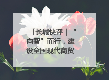 长城快评｜“向智”而行，建设全国现代商贸物流重要基地