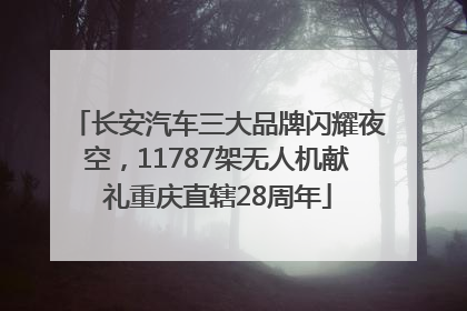 长安汽车三大品牌闪耀夜空，11787架无人机献礼重庆直辖28周年
