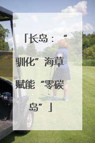 长岛：“驯化”海草赋能“零碳岛”