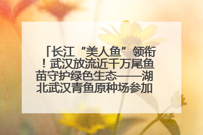 长江“美人鱼”领衔！武汉放流近千万尾鱼苗守护绿色生态——湖北武汉青鱼原种场参加2025年“全国放鱼日”增殖放流活动