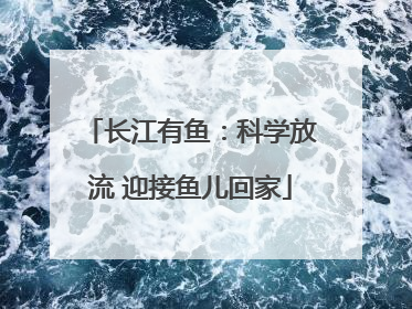 长江有鱼：科学放流 迎接鱼儿回家