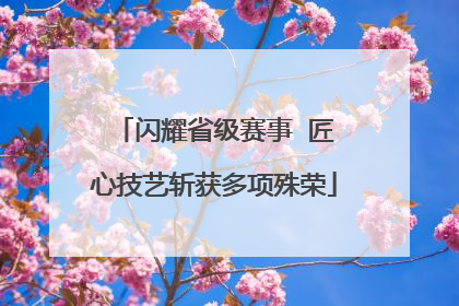 闪耀省级赛事  匠心技艺斩获多项殊荣