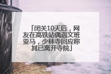 闭关10天后，网友在高铁站偶遇文班亚马，少林寺回应称其已离开寺院