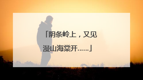 阴条岭上，又见漫山海棠开……
