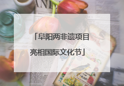 阜阳两非遗项目亮相国际文化节