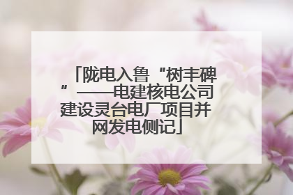 陇电入鲁“树丰碑”——电建核电公司建设灵台电厂项目并网发电侧记