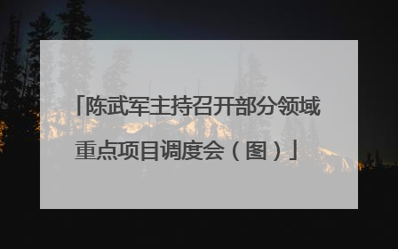 陈武军主持召开部分领域重点项目调度会（图）