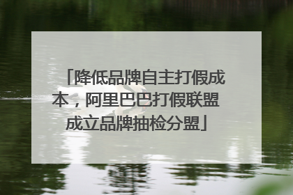 降低品牌自主打假成本，阿里巴巴打假联盟成立品牌抽检分盟