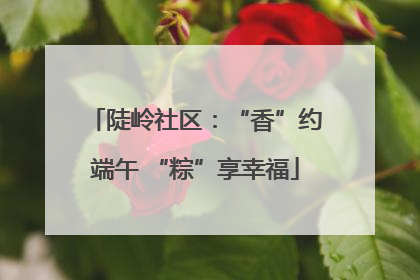 陡岭社区：“香”约端午 “粽”享幸福