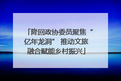 隆回政协委员聚焦“亿年龙洞” 推动文旅融合赋能乡村振兴