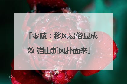 零陵：移风易俗显成效 岿山新风扑面来