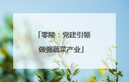 零陵：党建引领 做强蔬菜产业
