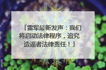 雷军最新发声：我们将启动法律程序，追究造谣者法律责任！