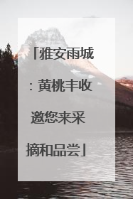 雅安雨城：黄桃丰收 邀您来采摘和品尝