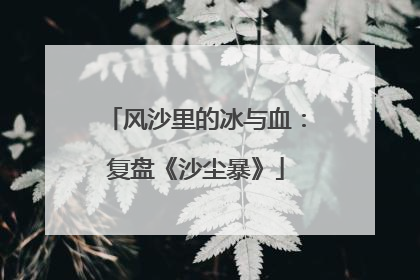 风沙里的冰与血：复盘《沙尘暴》