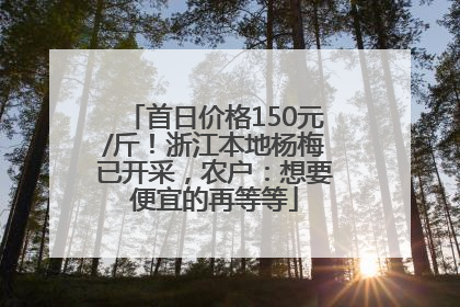 首日价格150元/斤！浙江本地杨梅已开采，农户：想要便宜的再等等