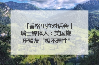 香格里拉对话会｜瑞士媒体人：美国施压盟友“极不理性” 欧洲国家无意与中国“脱钩断链”