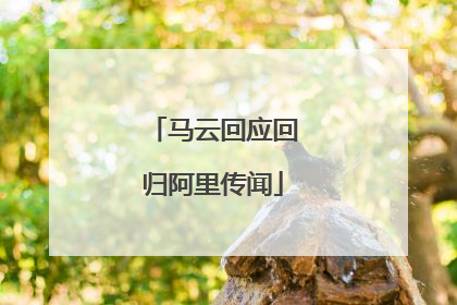 马云回应回归阿里传闻