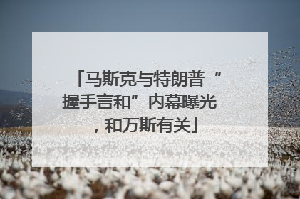 马斯克与特朗普“握手言和”内幕曝光，和万斯有关