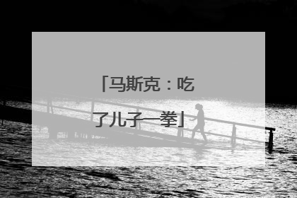 马斯克：吃了儿子一拳