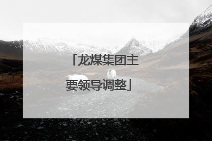 龙煤集团主要领导调整