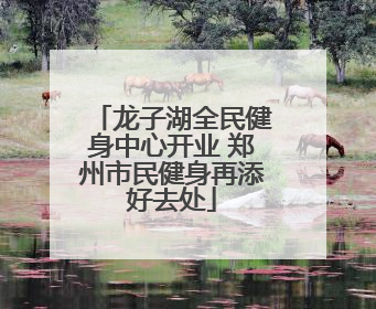 龙子湖全民健身中心开业 郑州市民健身再添好去处