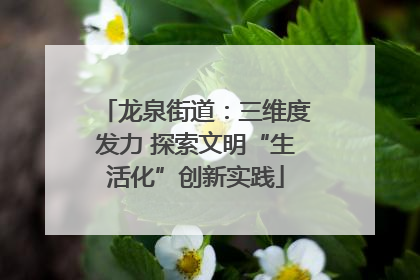 龙泉街道：三维度发力 探索文明“生活化”创新实践