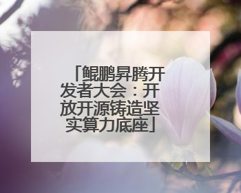 鲲鹏昇腾开发者大会：开放开源铸造坚实算力底座