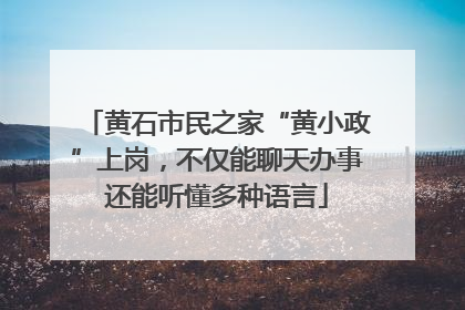 黄石市民之家“黄小政”上岗，不仅能聊天办事还能听懂多种语言