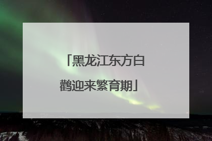 黑龙江东方白鹳迎来繁育期