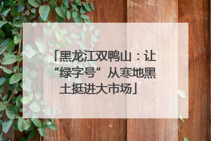黑龙江双鸭山：让“绿字号”从寒地黑土挺进大市场