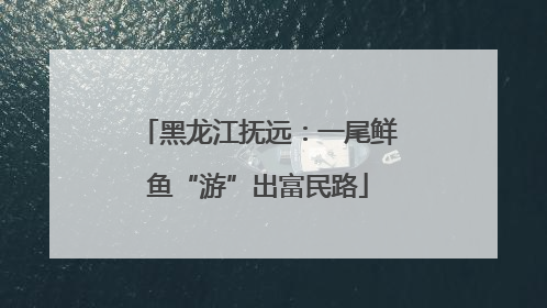 黑龙江抚远：一尾鲜鱼“游”出富民路