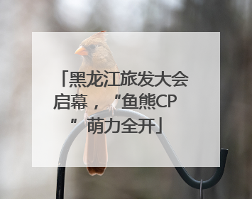 黑龙江旅发大会启幕，“鱼熊CP”萌力全开