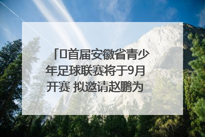 ﻿首届安徽省青少年足球联赛将于9月开赛 拟邀请赵鹏为先导赛开球